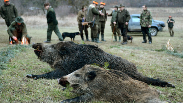 State orders banned methods of hunting 