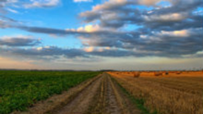 Klub farmárov: Rastlinné pesticídy v poľnohospodárstve