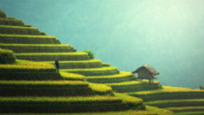 Študenti bratislavského gymnázia sa zoznamovali s ázijskou kultúrou