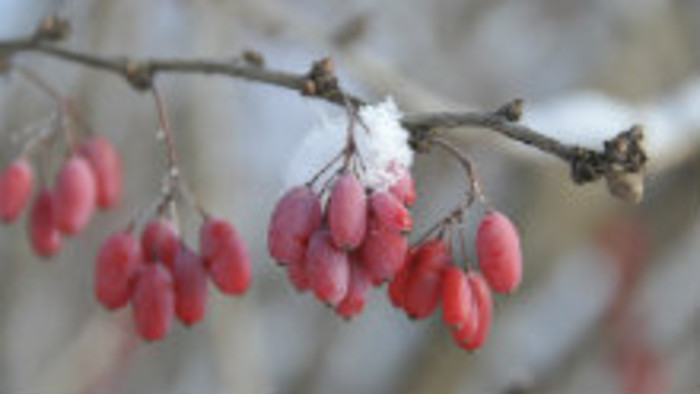 Rádiovíkend 27.2.2016 – pozvánky