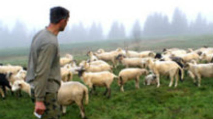 Navštívili sme salašnícky festival