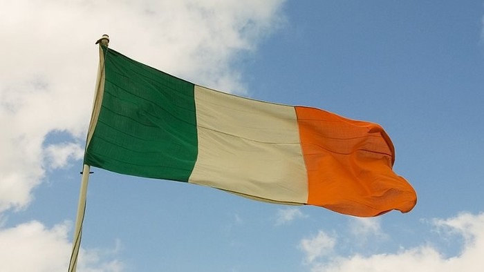 Foreign Minister Receives New Irish Ambassador