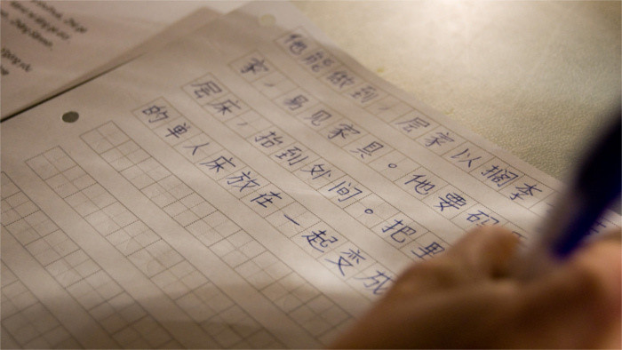 Chinese Ambassador: We'll support teaching of Chinese in schools 