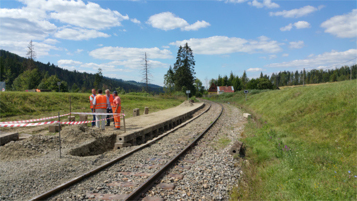 Analistas recomiendan supresión de más de 300 km de ferrocarril