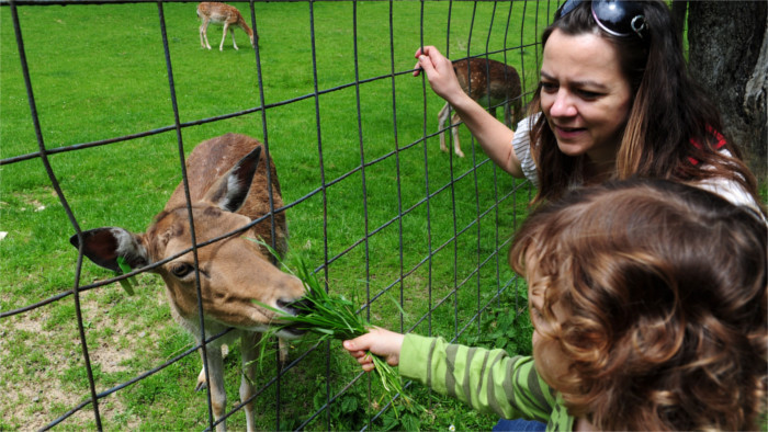 Bojnice Zoo celebrates 60th anniversary 