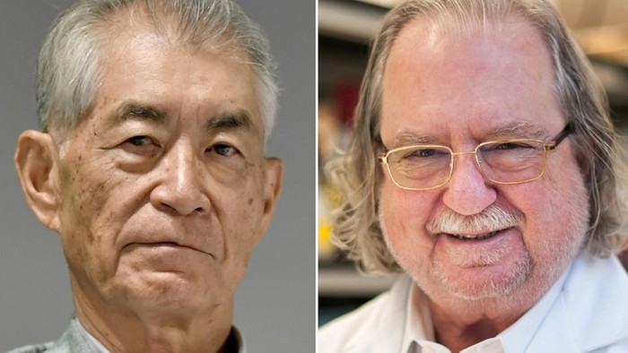 Nobel-díj a rákkutatásért