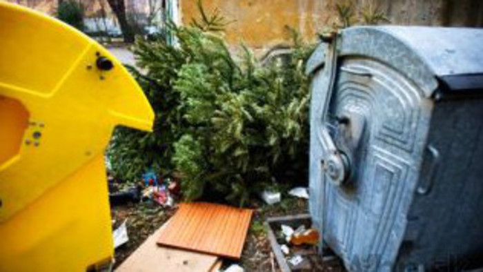 Oh, Christmas tree... what’s your fate?