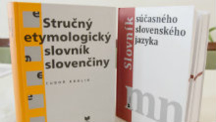 Vývoj slovenského jazyka v priebehu stáročí 