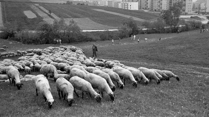 Pastieri na Slovensku