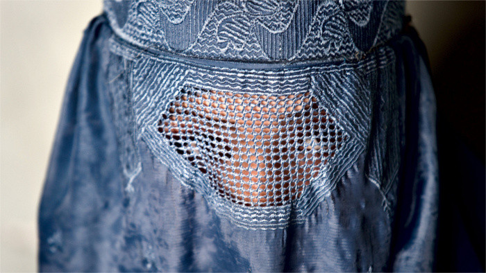 Politicians see proposed burqa ban in Slovakia as premature