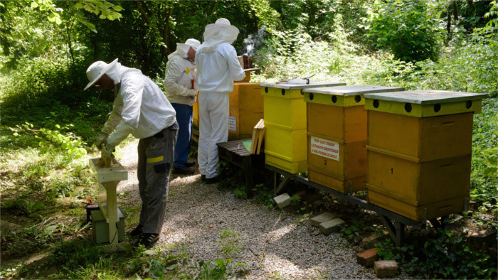 Soutien aux apiculteurs slovaques