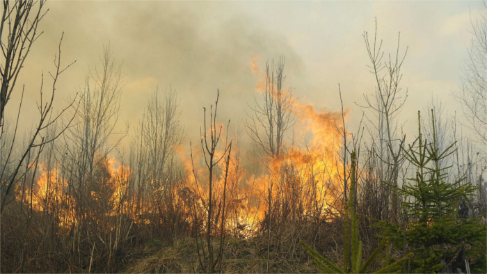 Feuerwehr ruft wegen erhöhter Waldbrandgefahr zu erhöhter Vorsicht auf