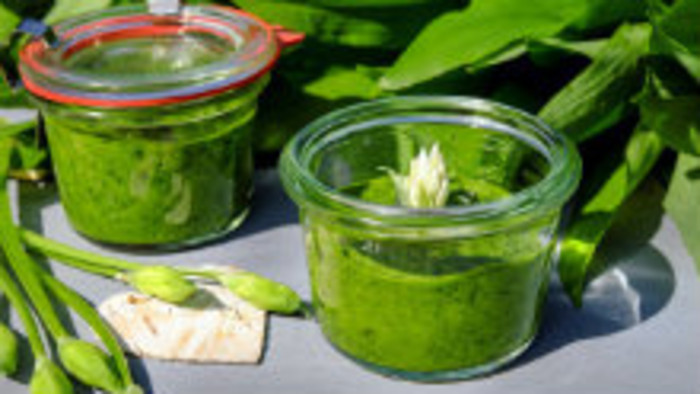 Pesto z medvedieho cesnaku 