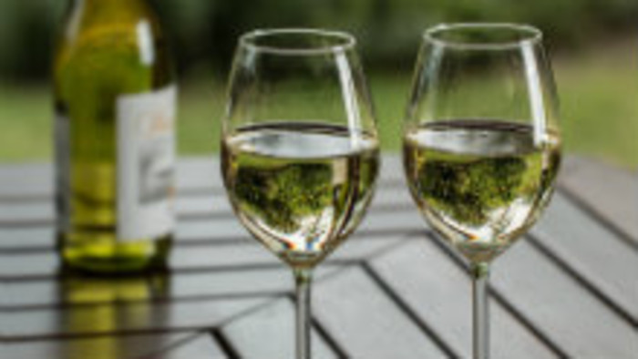 Slovenskí vinohradníci mieria do Francúzska