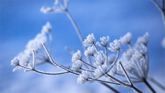 Weather alerts issued due to low temperatures