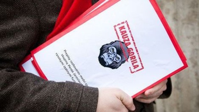Intelligence service’s inspection checks Gorilla II