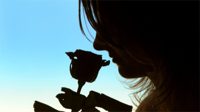 International Women's Day