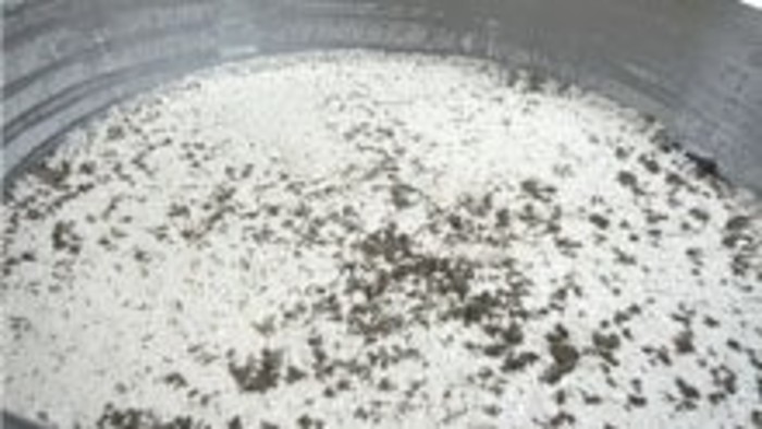 Cesta chleba 2: o ručnej práci a kvásku