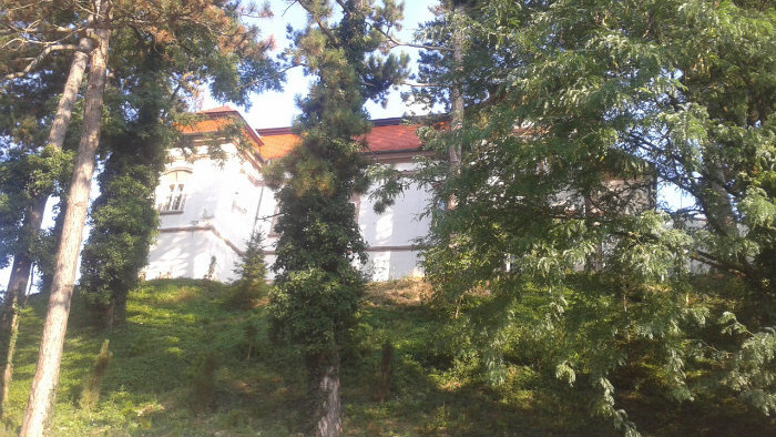 20160726_072222.jpg