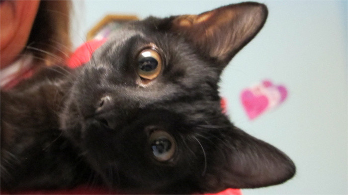 Čo vieme o nešťastnej trinástke