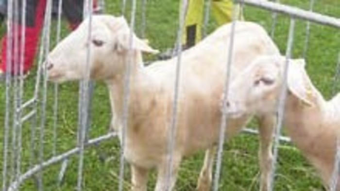 Deň turčianskeho vidieka