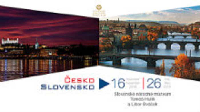 Česko – slovenská výstava v SNM