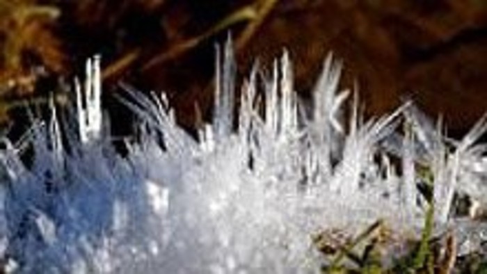 Kalendárium prírody - arktická zima