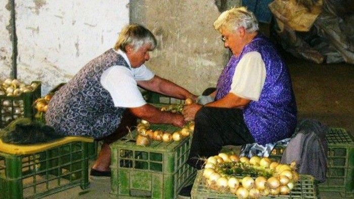 Onion Soccer Ball to Set New Record