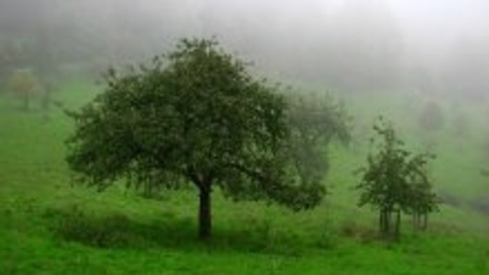 Poľovníci verzus poľnohospodári