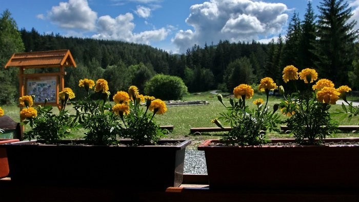 Vyhodnotenie súťaže o najkrajší kvetinový balkón v Senci