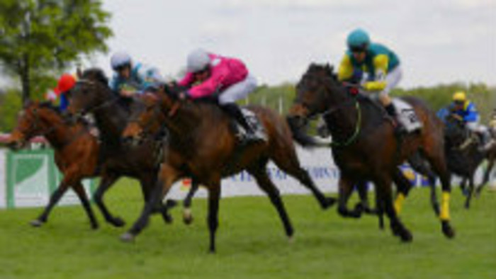 Dostihový míting Turf-gala