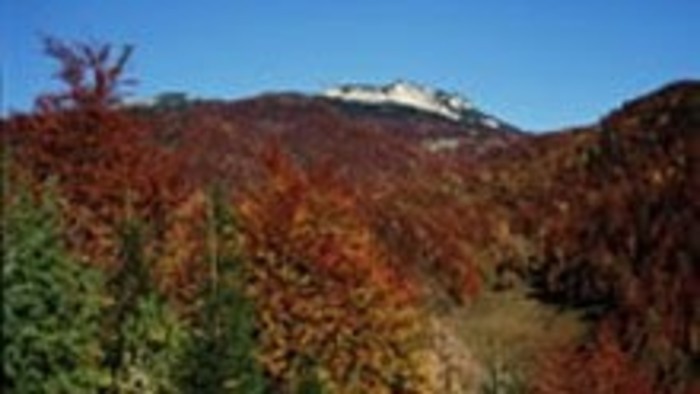 Kalendárium prírody - obdobie ruje