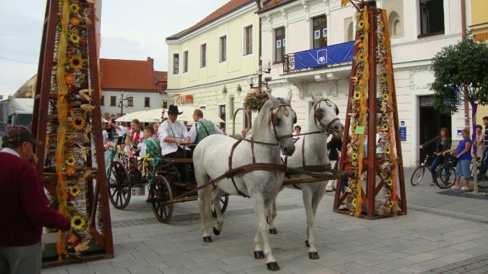 Trnavska-brana-2