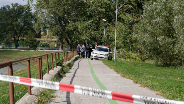 Falling tree kills 14-years-old boy in Nitra