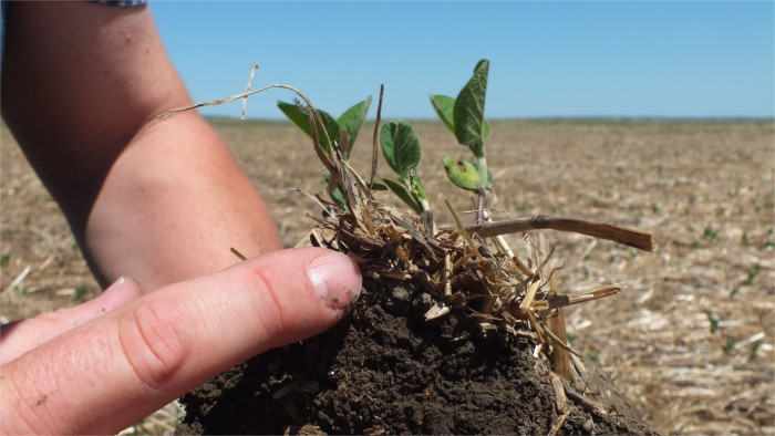 Could satellite tech replace in-person moisture research?
