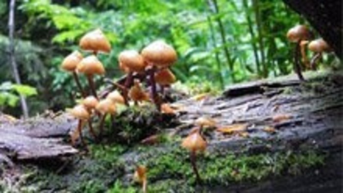 Z histórie turistiky na Skalke v Kremnických vrchoch