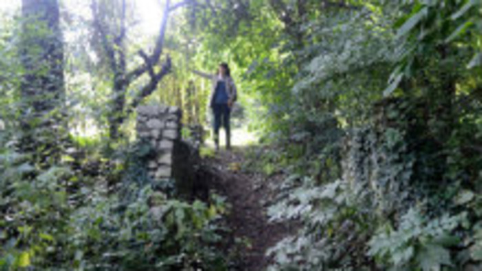 Bratislavský Horský park je prírodný klenot