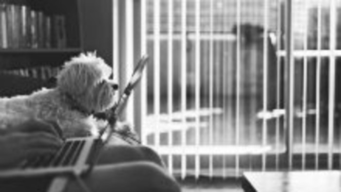 Rodičovský príspevok vybavíte aj z domu