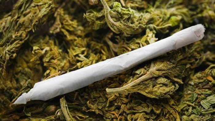 Marijuana in Slovakia