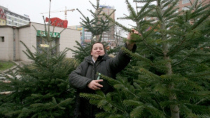 Eslovaquia busca de nuevo su árbol del aňo