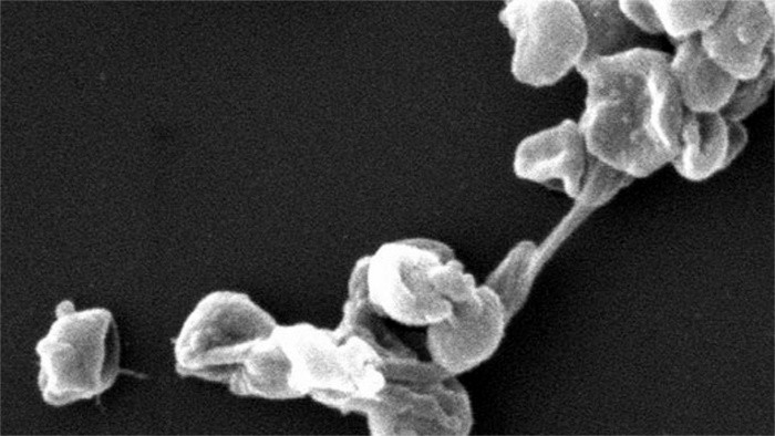 Une matière qui tue les microbes avec la lumière