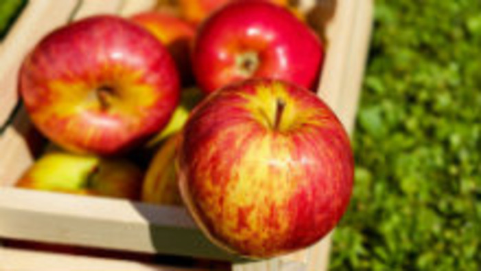 V okolí Nitry produkujú sladký Cider