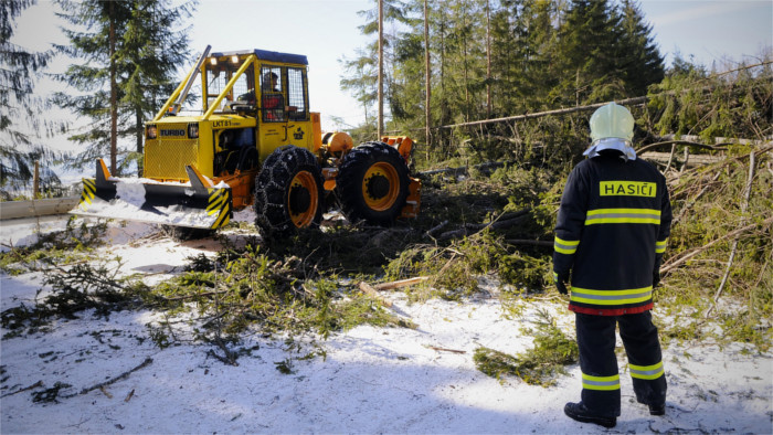 Strong winds break 2,000 trees in national parks