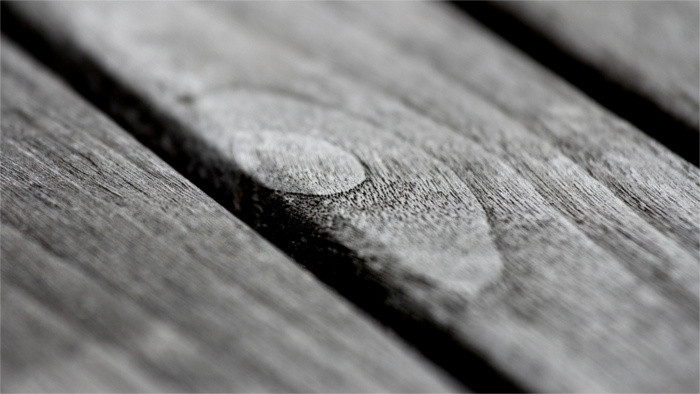 Wood design on display in Bratislava