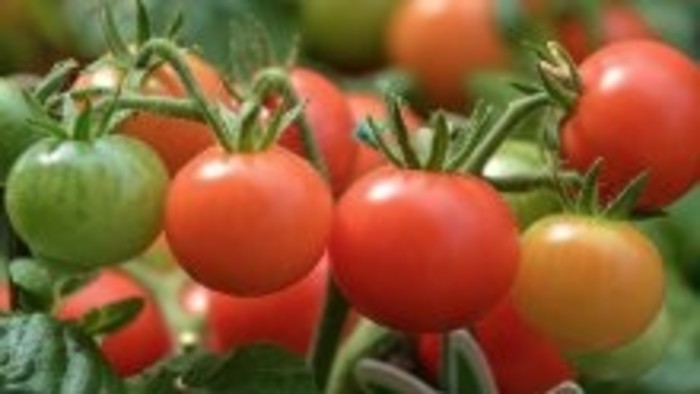 Iniciatíva Na streche