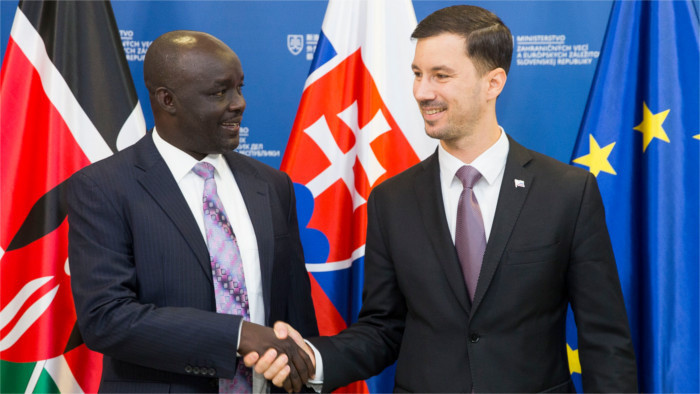 Kenya wants to co-operate with Slovak firms in energy 