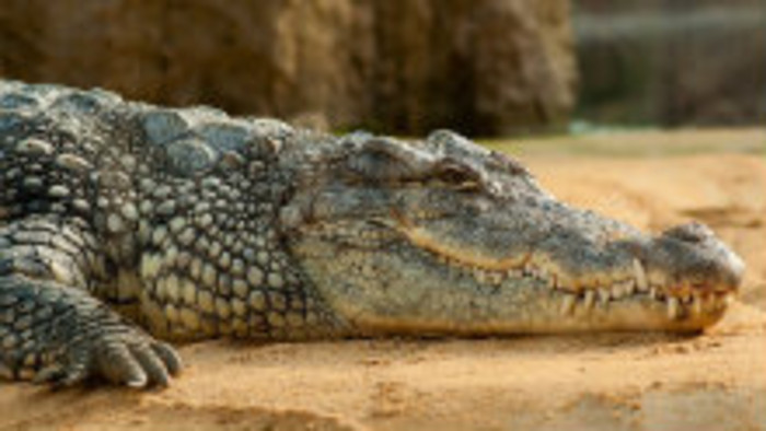 Svetová konferencia ZOO sveta v Indii 