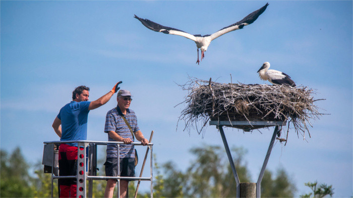 Birds start annual migration back to Africa