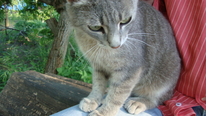 DSC05953.JPG