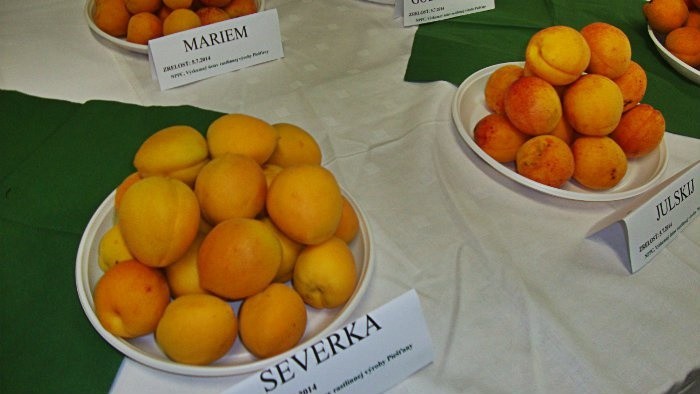 marhule